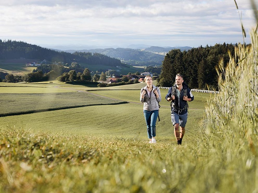 Pilgern  am Benediktweg mit OÖ-Touristik