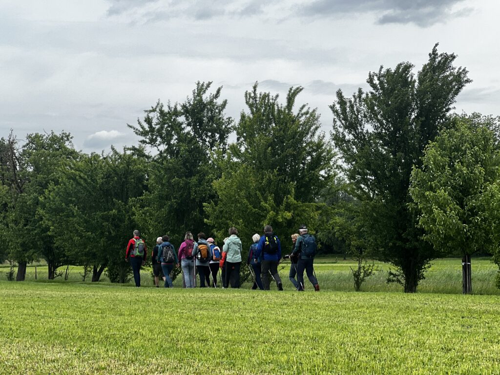 Kremstal-Pilgerwanderung